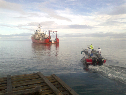 Whipps: Allowing Starlink Now Risks $50M Debt Burden on Palau