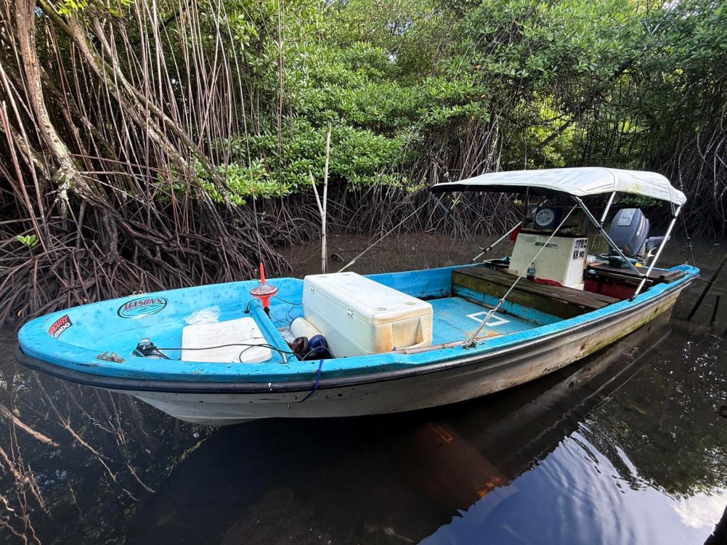 300 Free AIS Devices Offered to Improve Safety for Palau’s Fishermen and Boaters