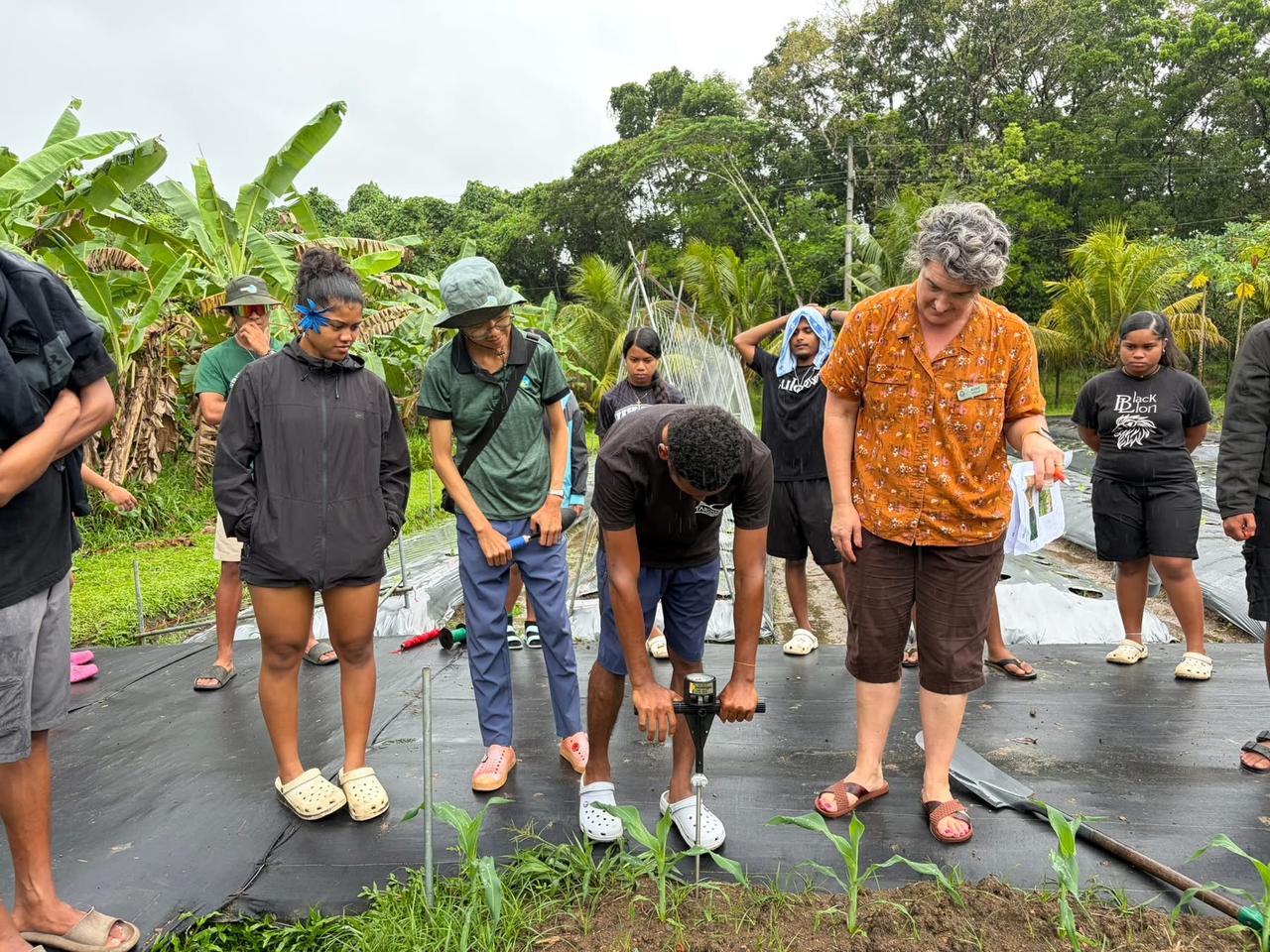 Palau Launches Youth Farming Workshop to Tackle Aging Agriculture Workforce
