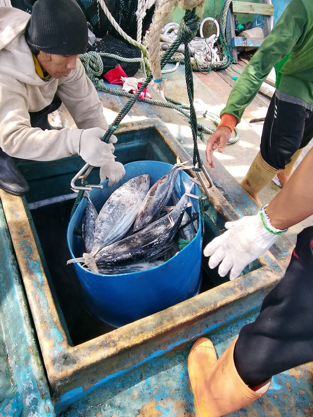 No Diplomatic Resolution Yet in Indonesia-Palau Fishing Vessel Dispute
